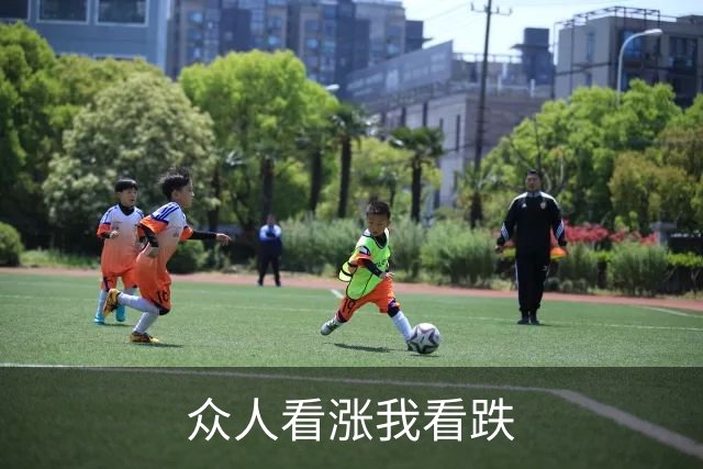 众人看涨我看跌