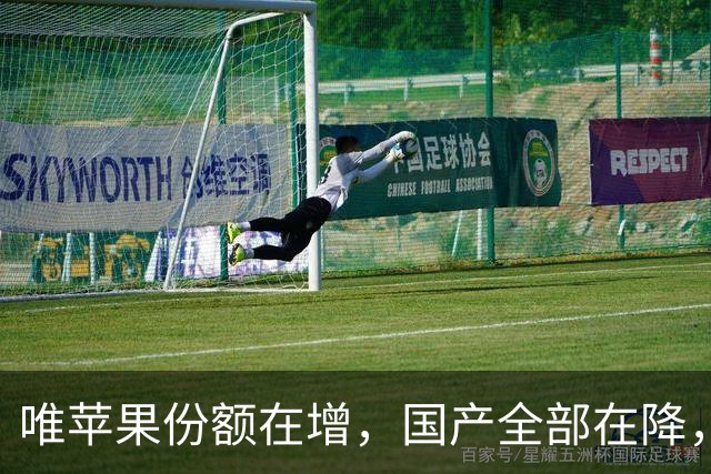 唯苹果份额在增，国产全部在降，W41周怎么了？