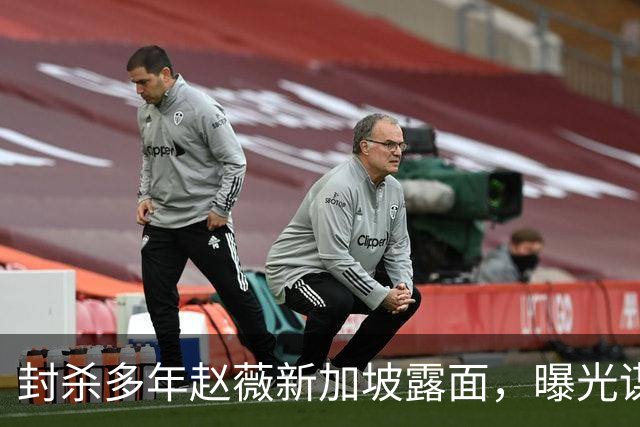 封杀多年赵薇新加坡露面，曝光谋生手段，网友：想不到她会干这个