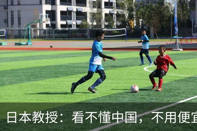日本教授：看不懂中国，不用便宜的电线杆，非要花钱铺设地下电缆