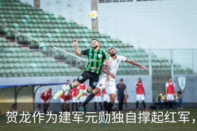 贺龙作为建军元勋独自撑起红军，为何元帅排名却在刘伯承之后？