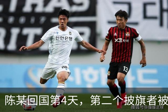 陈某回国第4天，第二个披旗者被揪了出来，现形后想销号跑路